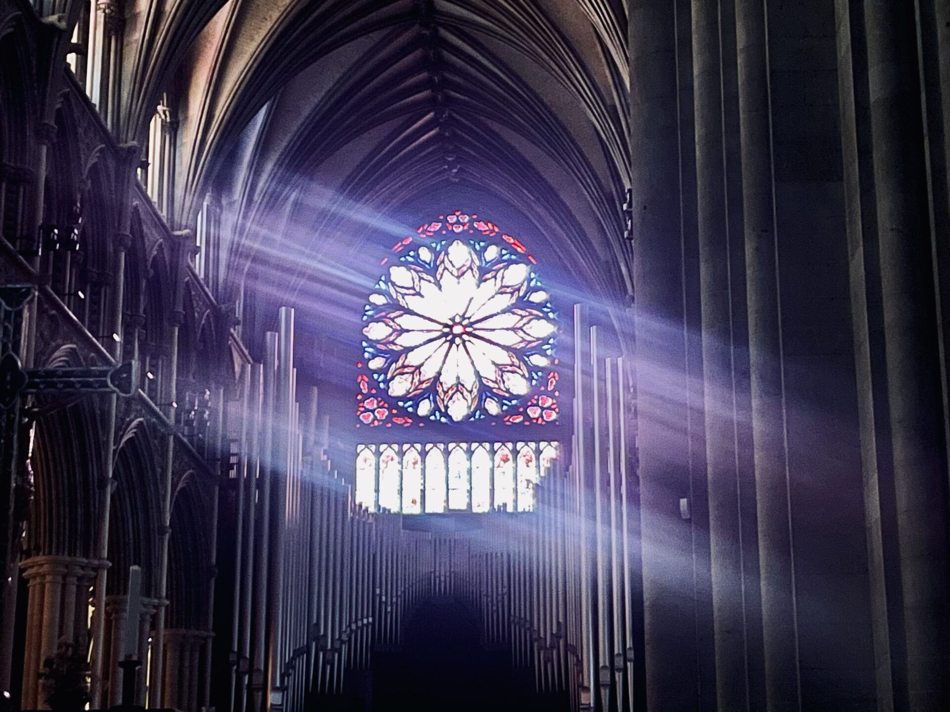 Nidarosdomen rosevindu host 2025