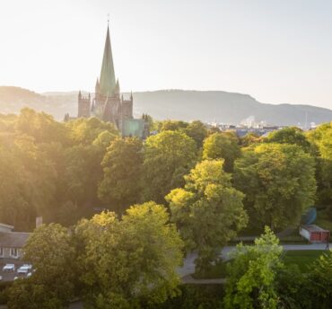 Sommerens orgelserie 2025