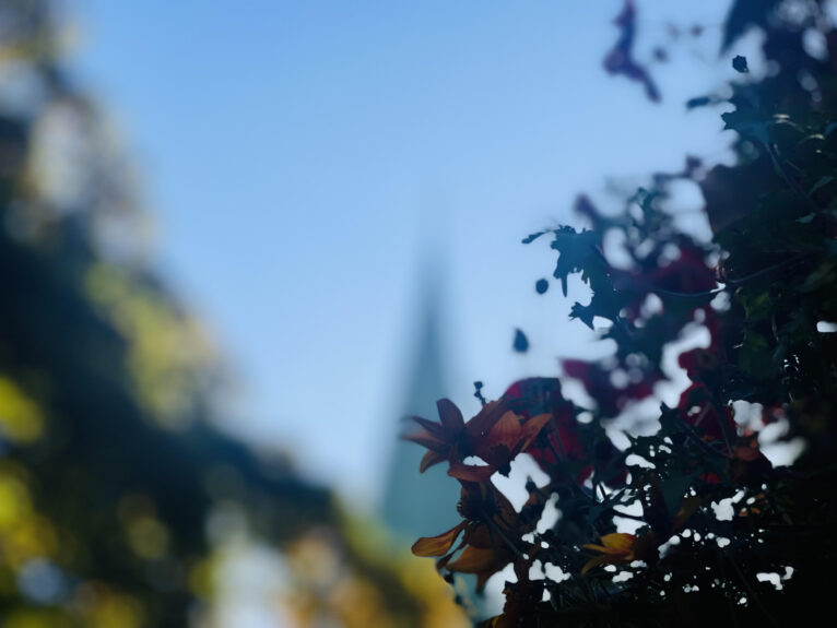 Nidarosdomen spir 2023 Nidarosdomen spir 2023